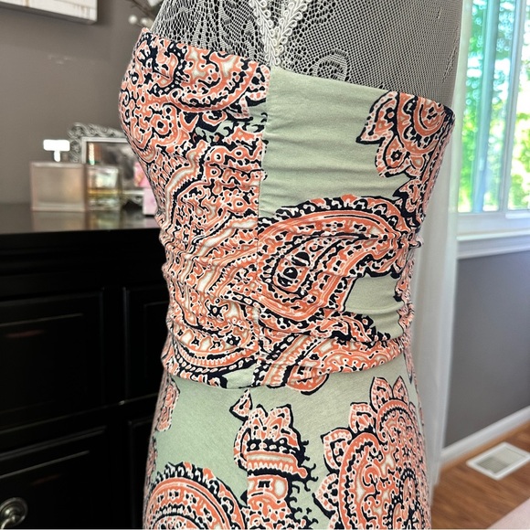 The Limited Pink Soft Sage Strapless Maxi Dress – Paisley Print Size Small - Picture 5 of 15